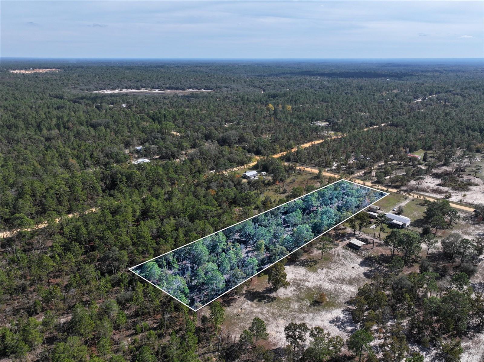 Image 8 of 21 For Poinciana Drive