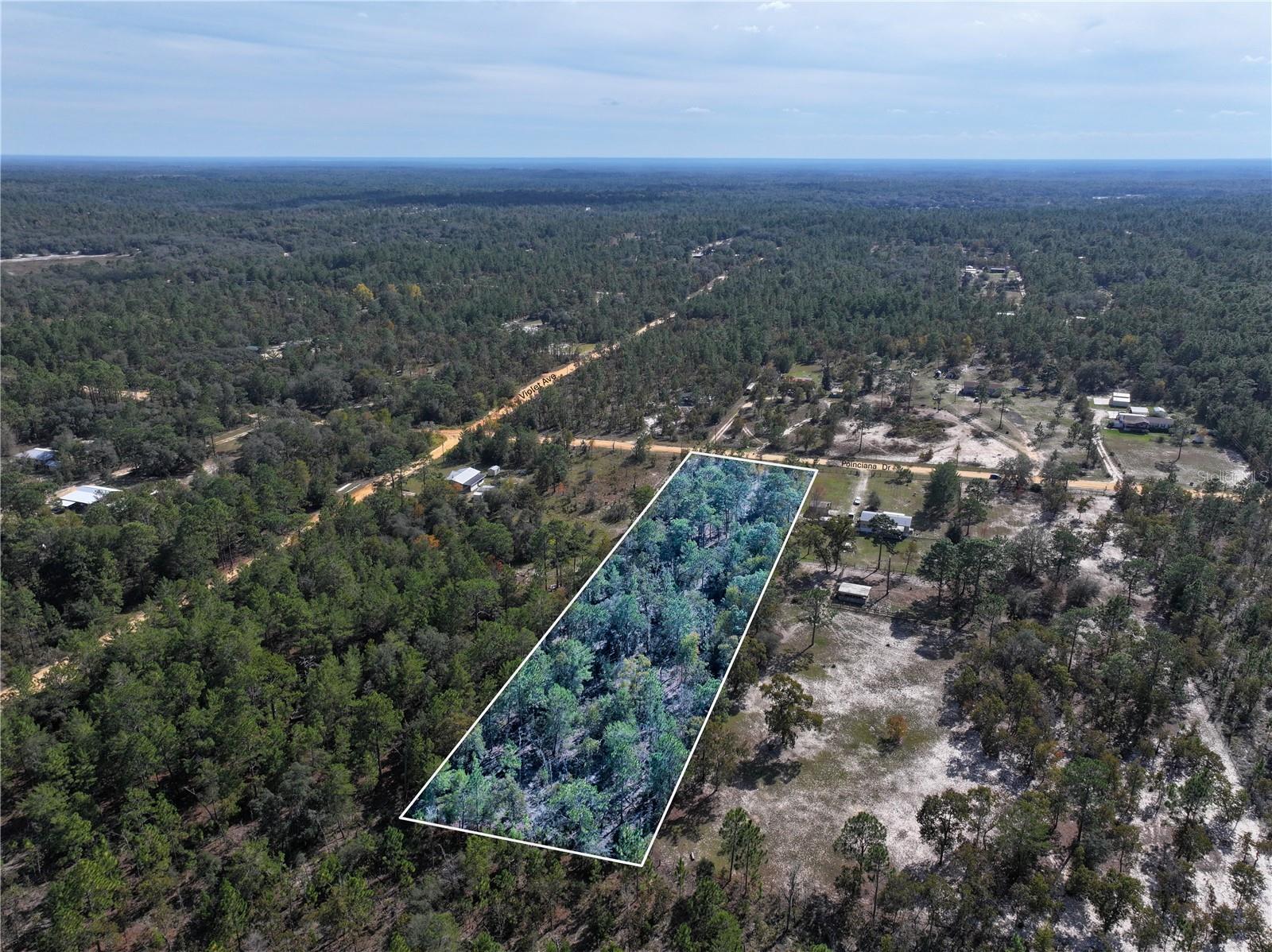 Image 9 of 21 For Poinciana Drive