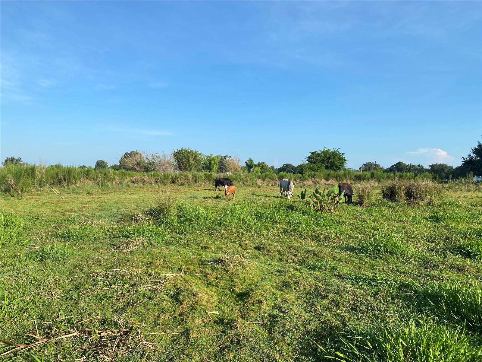 Image 3 of 8 For 5187 Greenfields Run