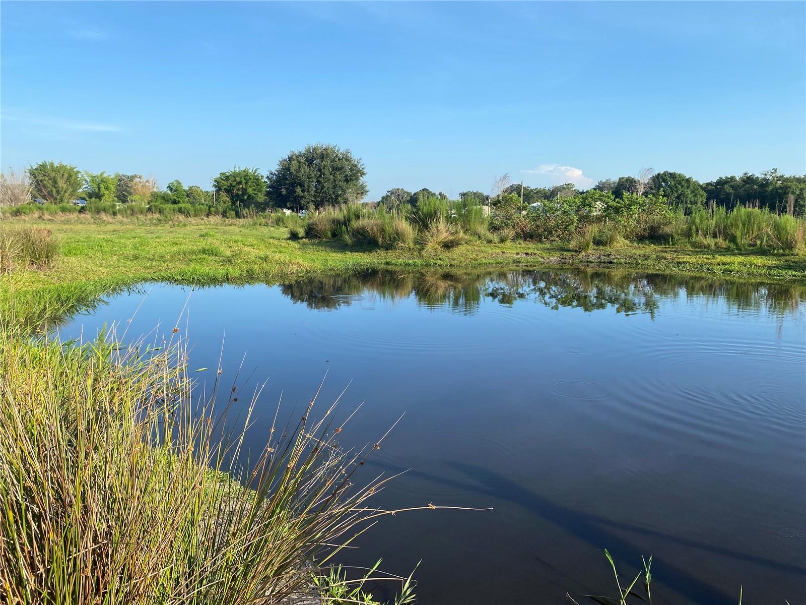 Image 5 of 8 For 5187 Greenfields Run