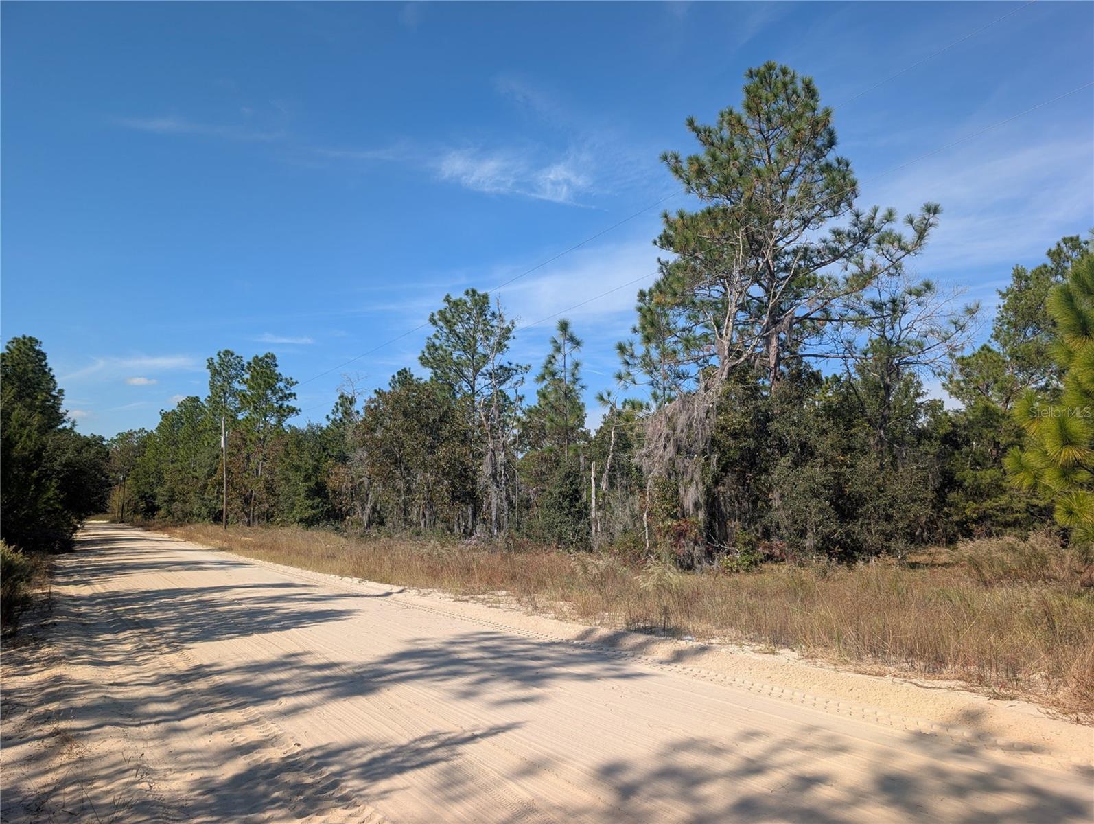 Image 13 of 24 For  Rose Trail 