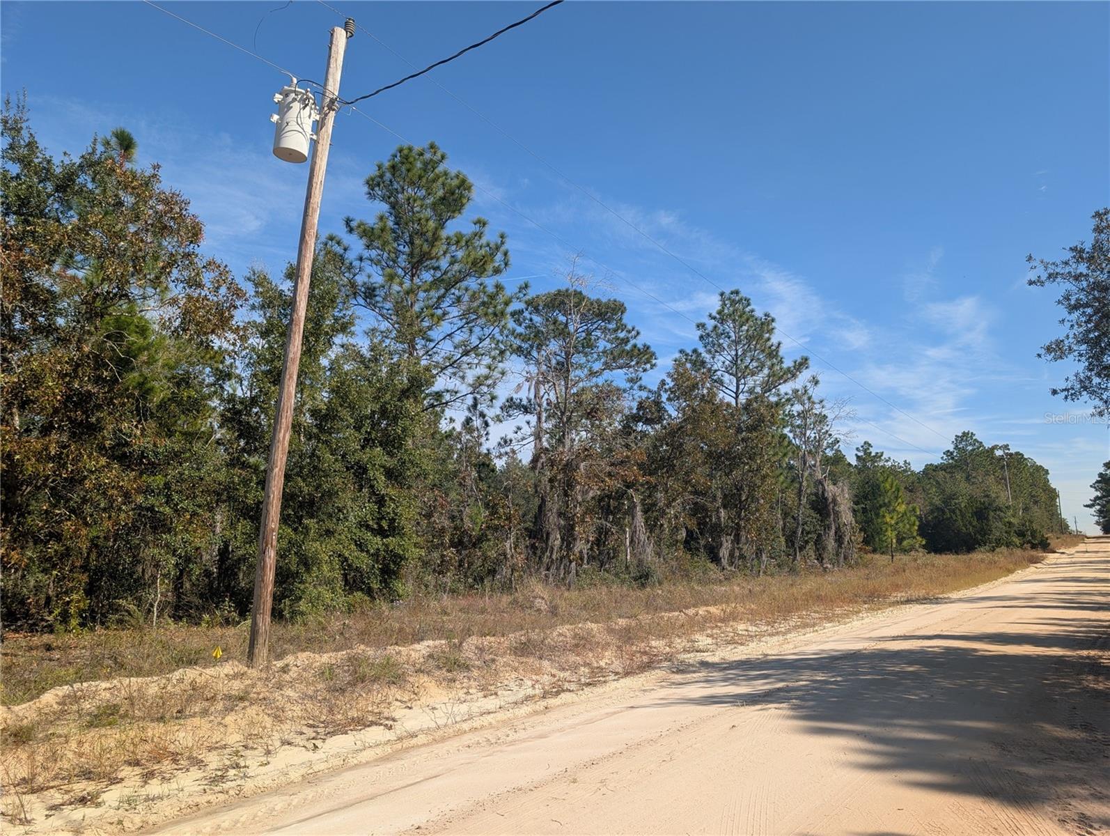 Image 17 of 24 For  Rose Trail 