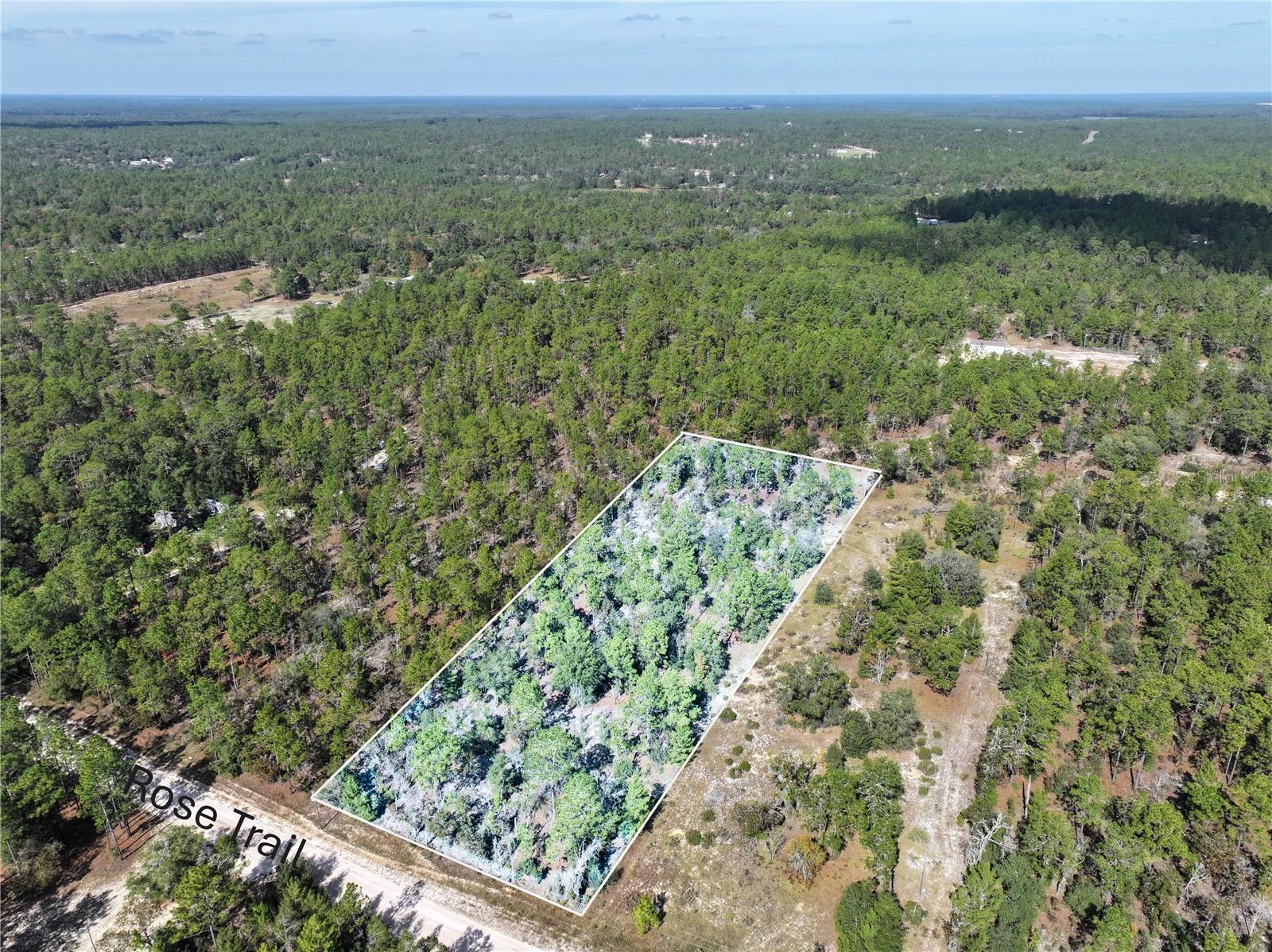 Image 2 of 24 For  Rose Trail 