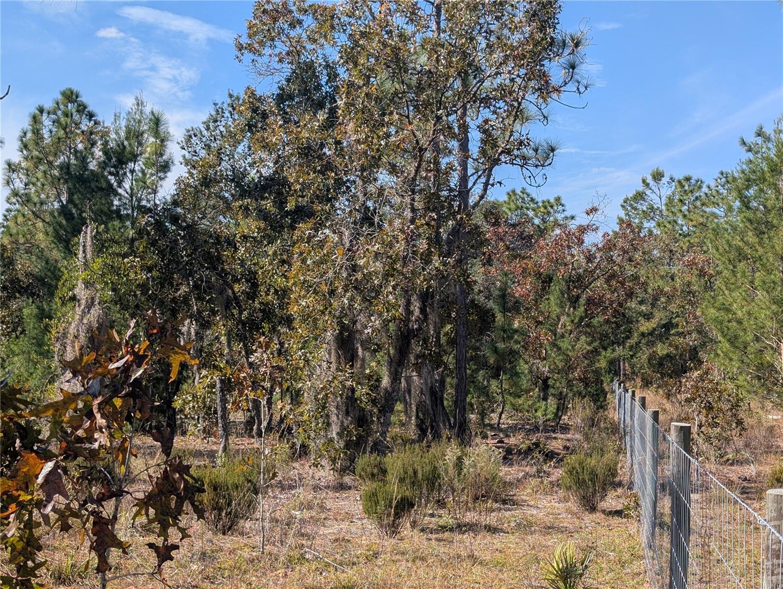 Image 22 of 24 For  Rose Trail 