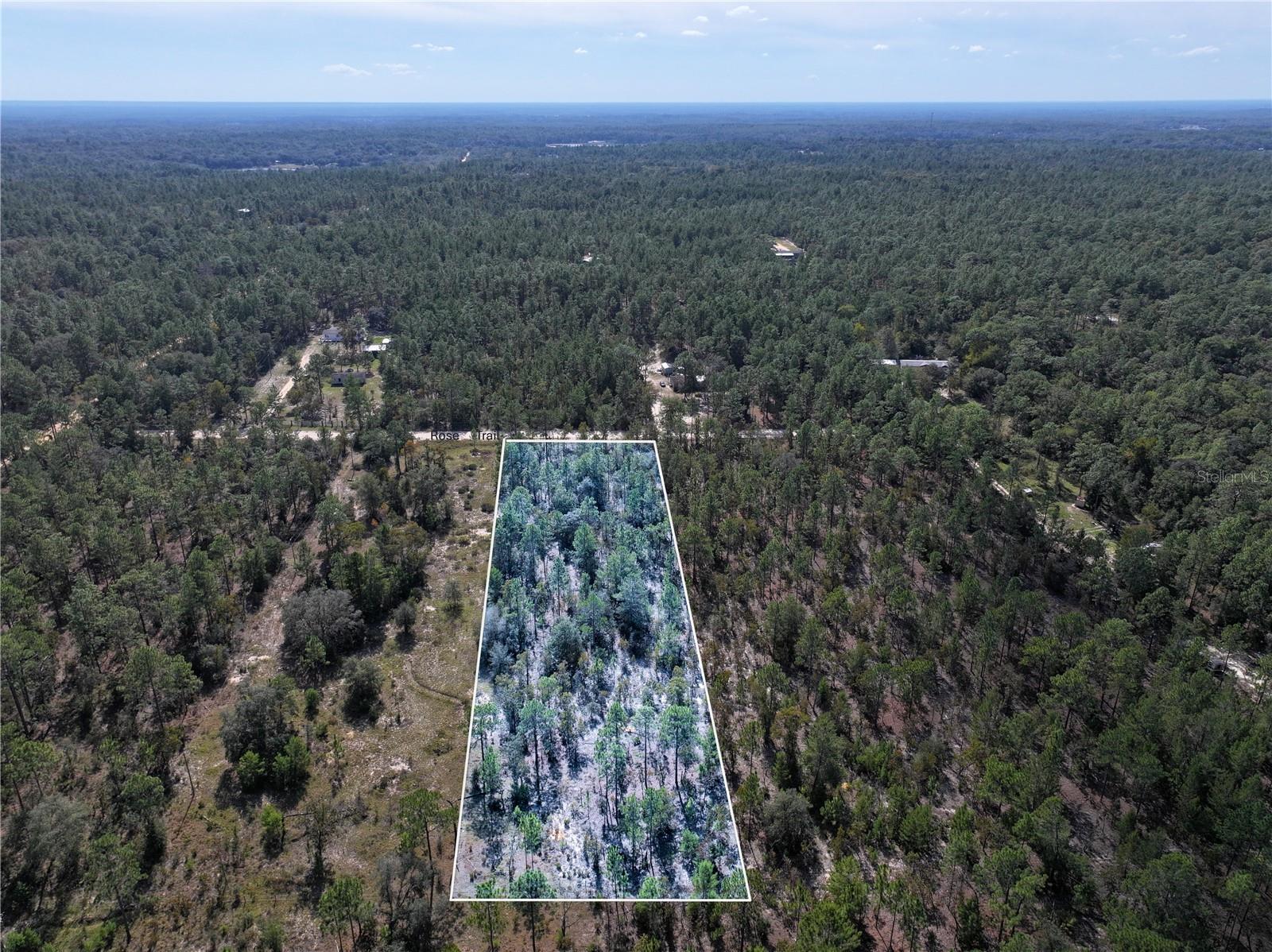 Image 3 of 24 For  Rose Trail 