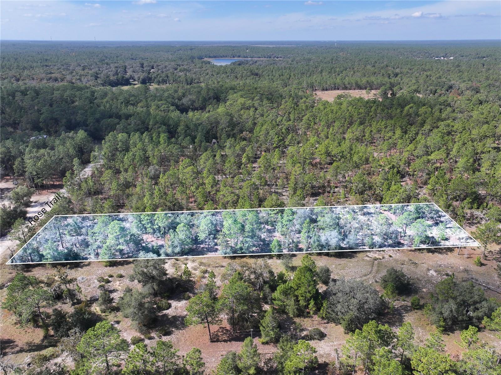 Image 4 of 24 For  Rose Trail 