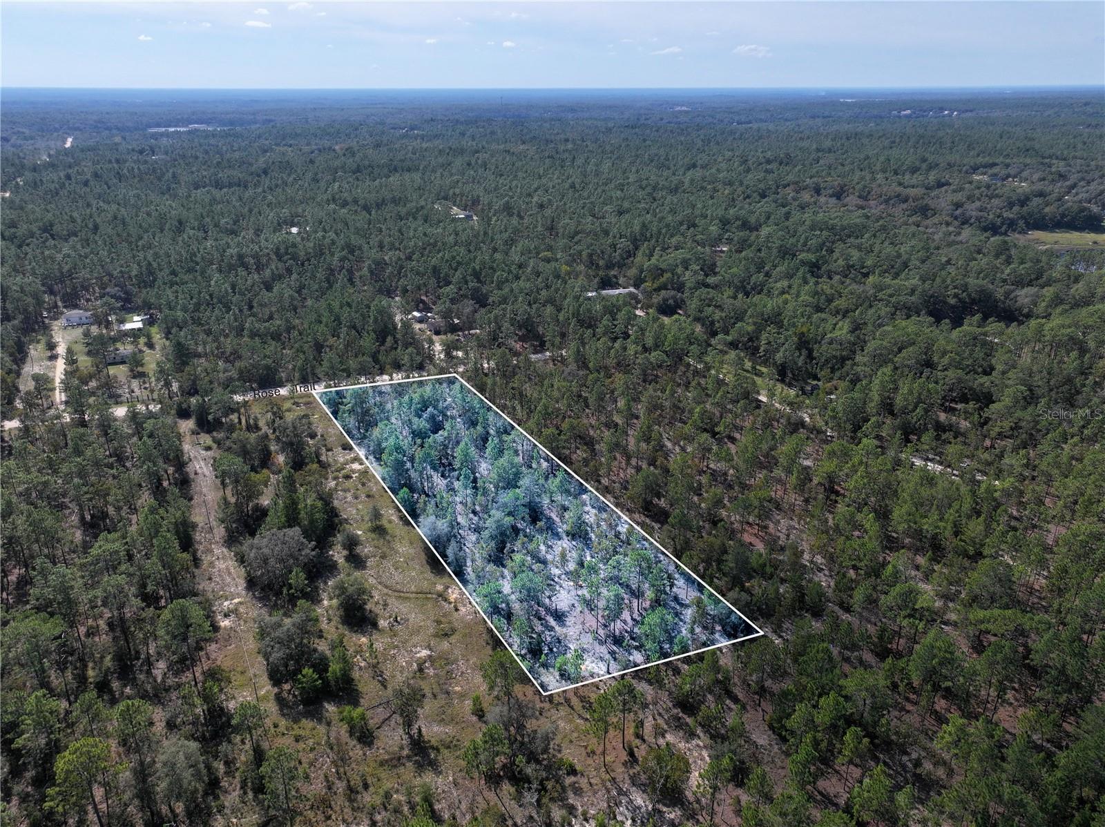 Image 5 of 24 For  Rose Trail 