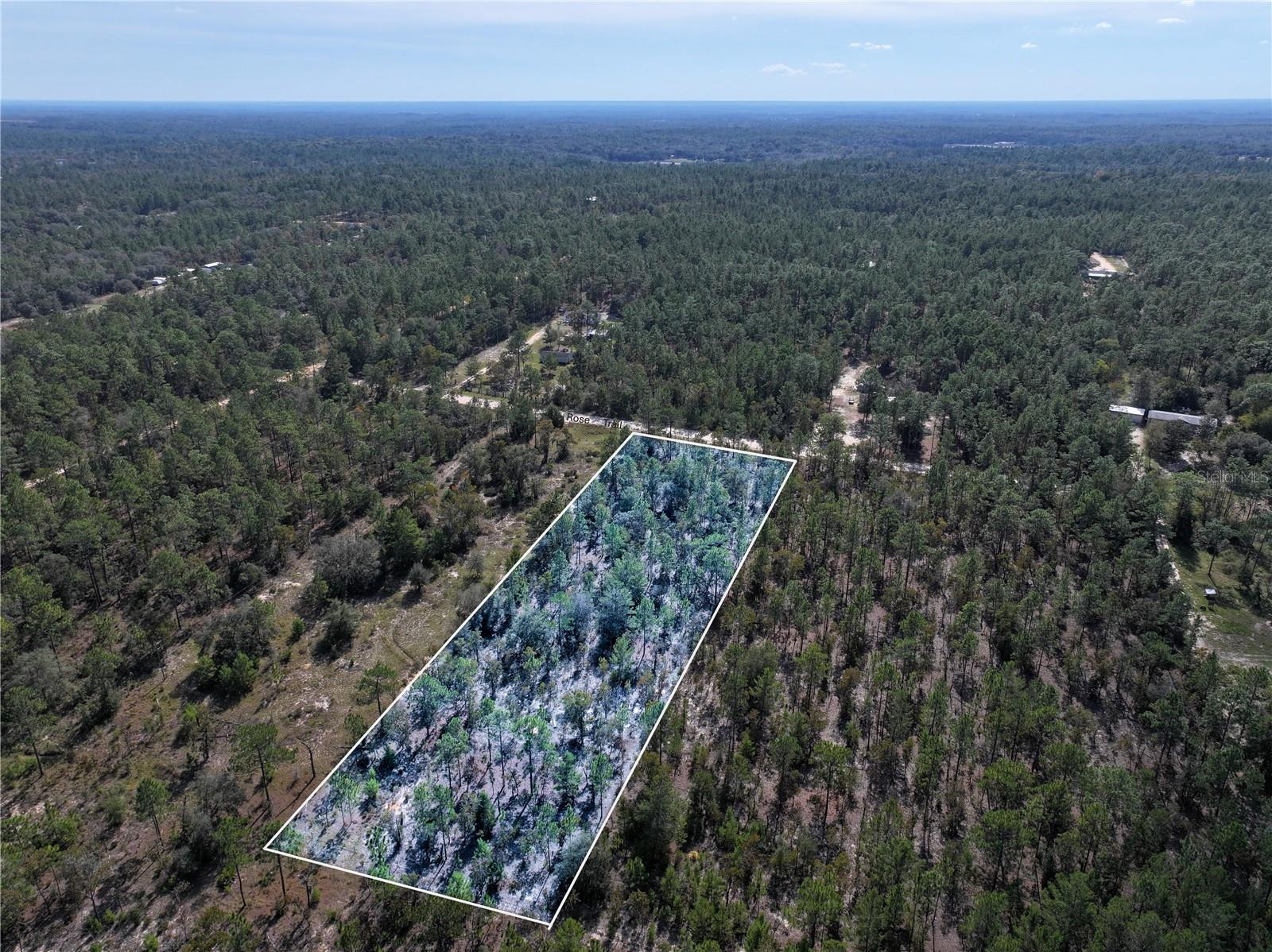 Image 7 of 24 For  Rose Trail 