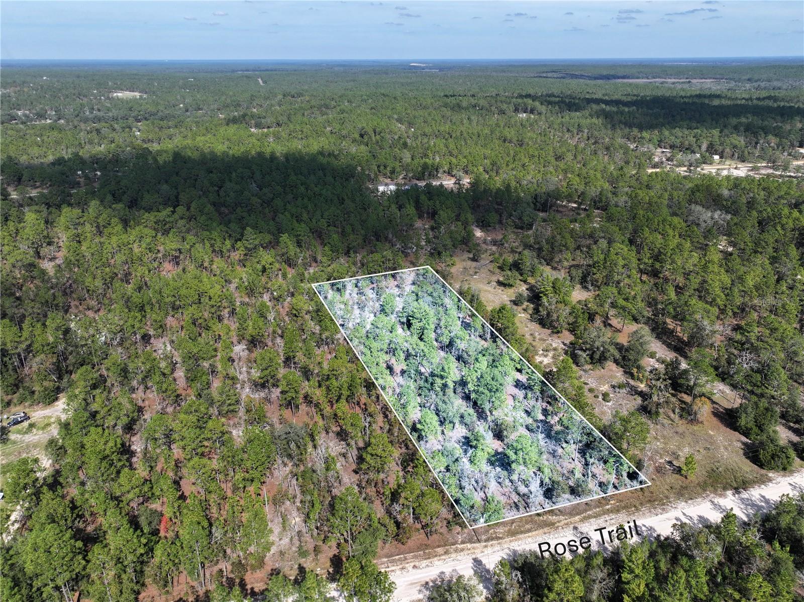 Image 8 of 24 For  Rose Trail 