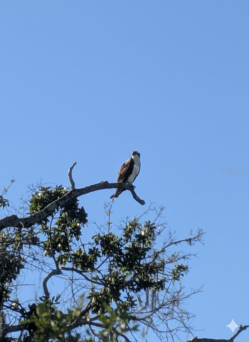 Image 38 of 43 For 5030 58th Terrace E