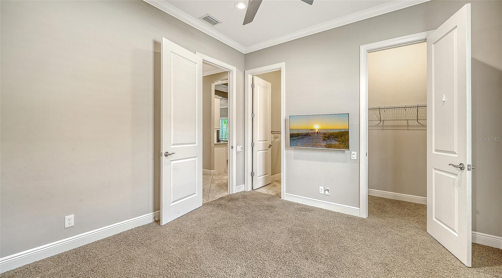 Image 32 of 87 For 318 Ragdoll Run