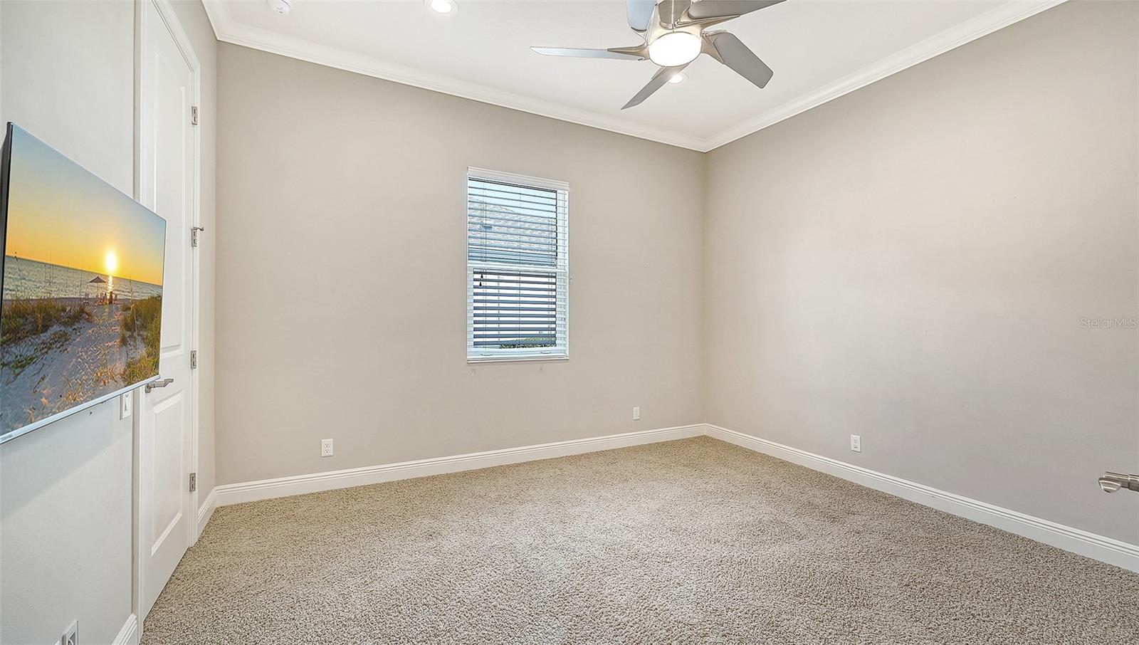 Image 33 of 87 For 318 Ragdoll Run