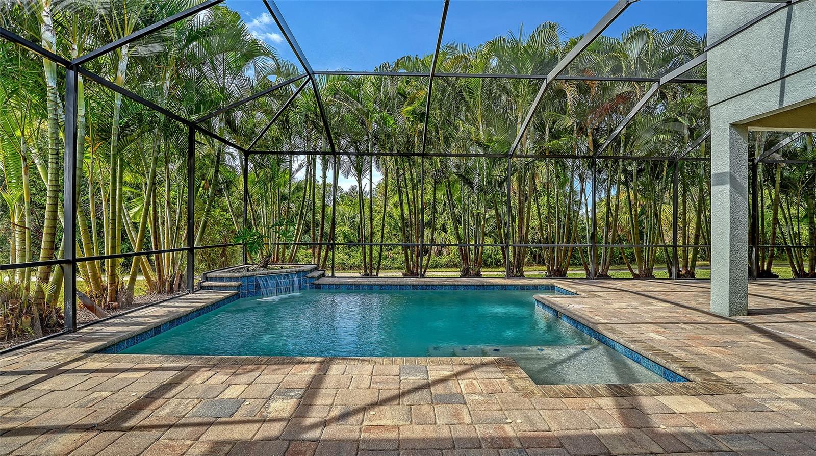 Image 52 of 87 For 318 Ragdoll Run