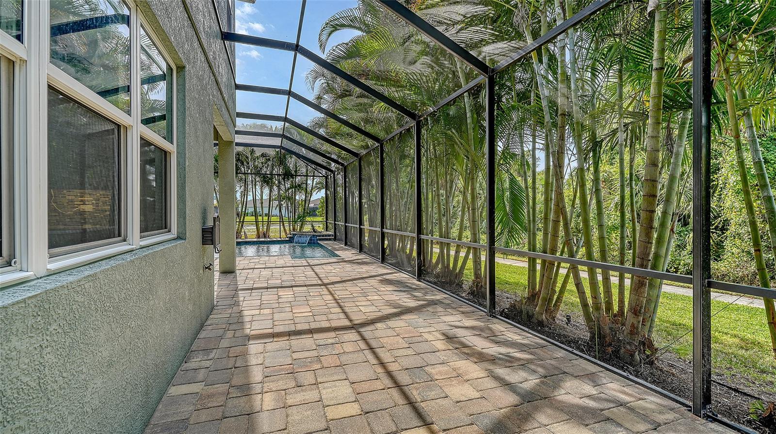 Image 55 of 87 For 318 Ragdoll Run