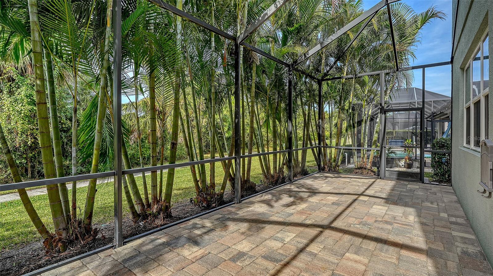 Image 56 of 87 For 318 Ragdoll Run