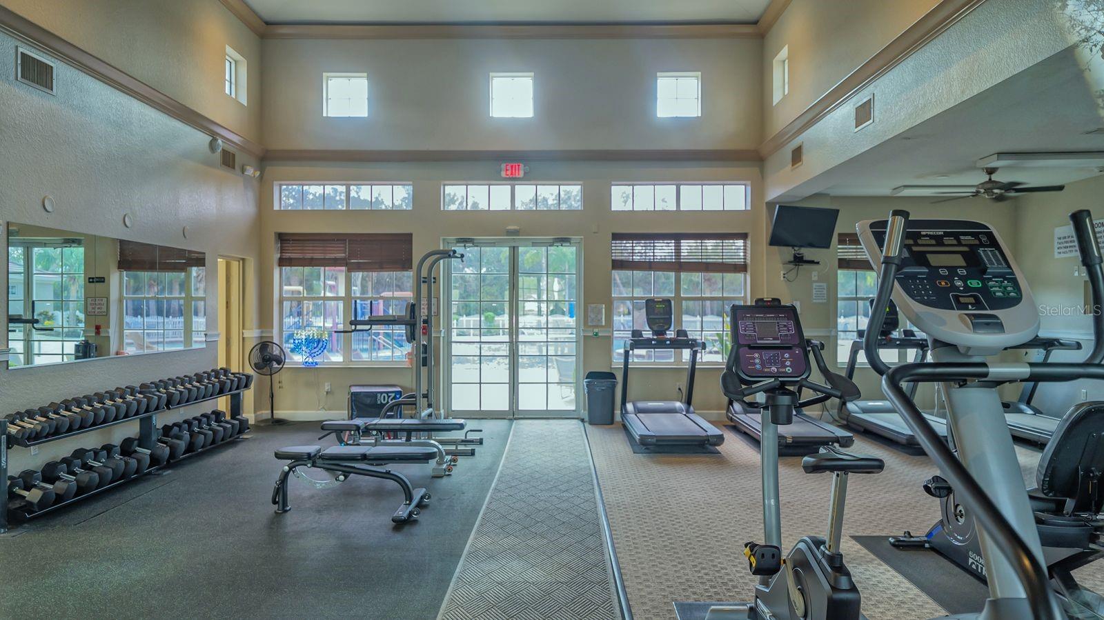 Image 67 of 87 For 318 Ragdoll Run