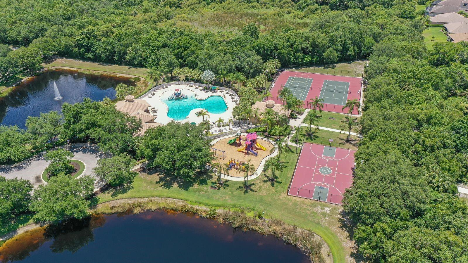 Image 70 of 87 For 318 Ragdoll Run