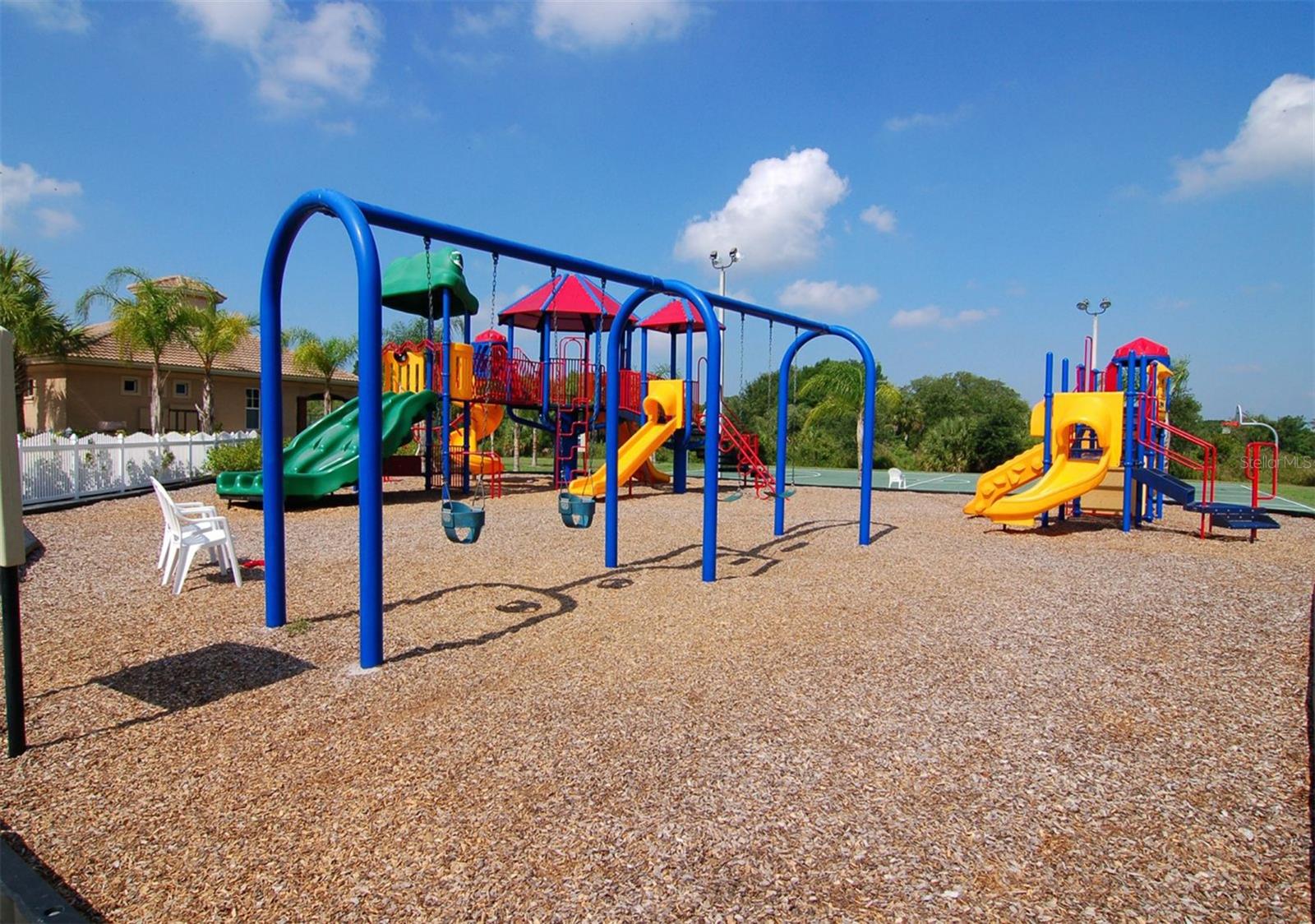 Image 81 of 87 For 318 Ragdoll Run