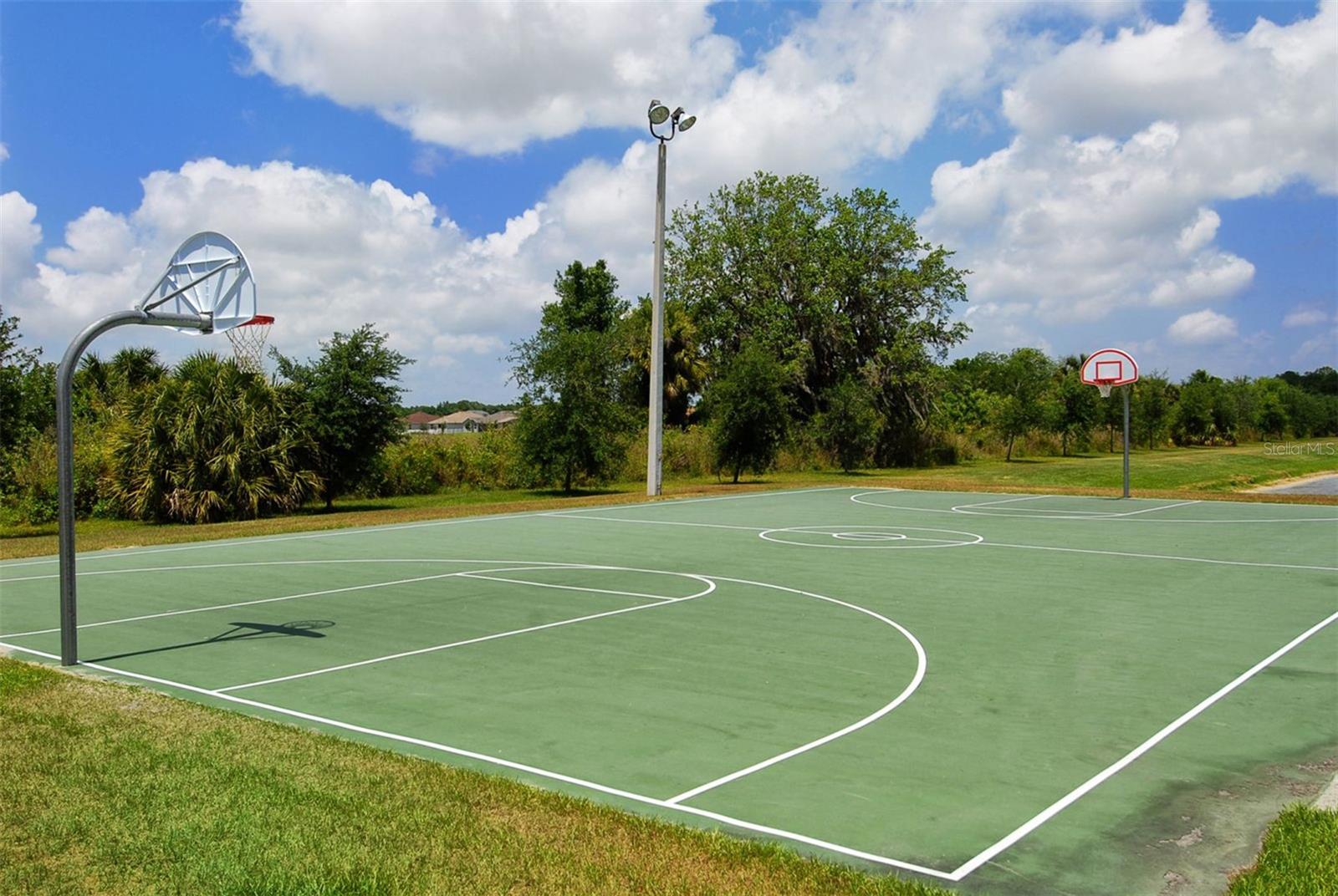 Image 83 of 87 For 318 Ragdoll Run