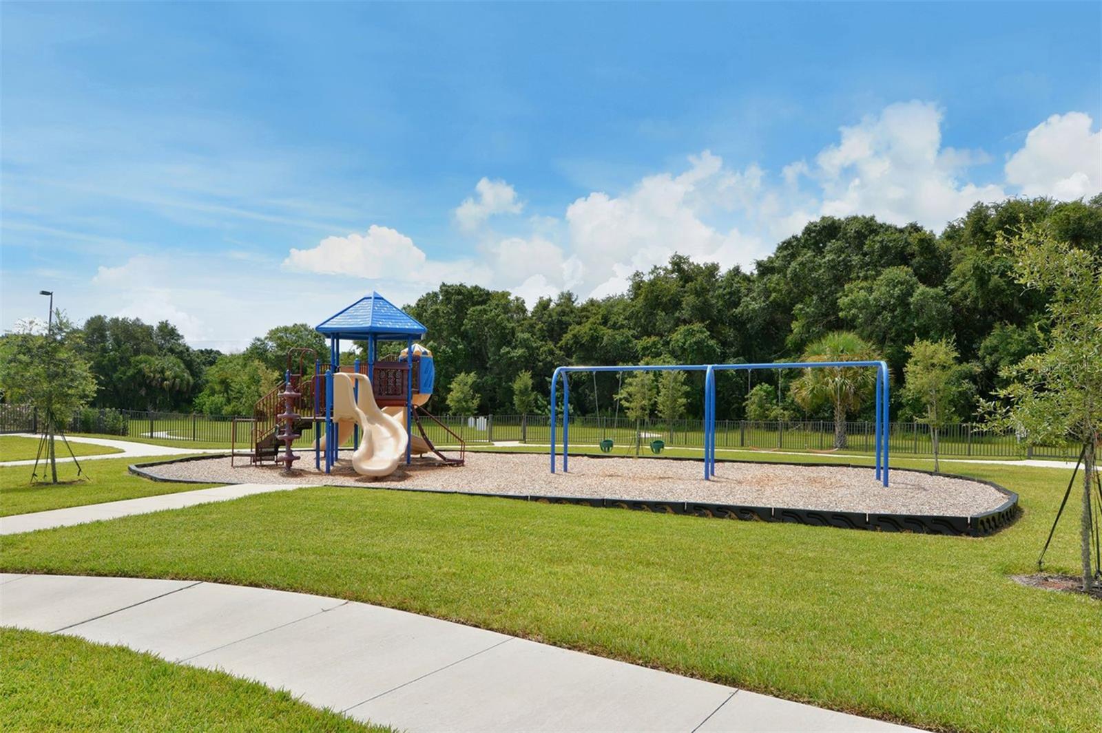 Image 84 of 87 For 318 Ragdoll Run