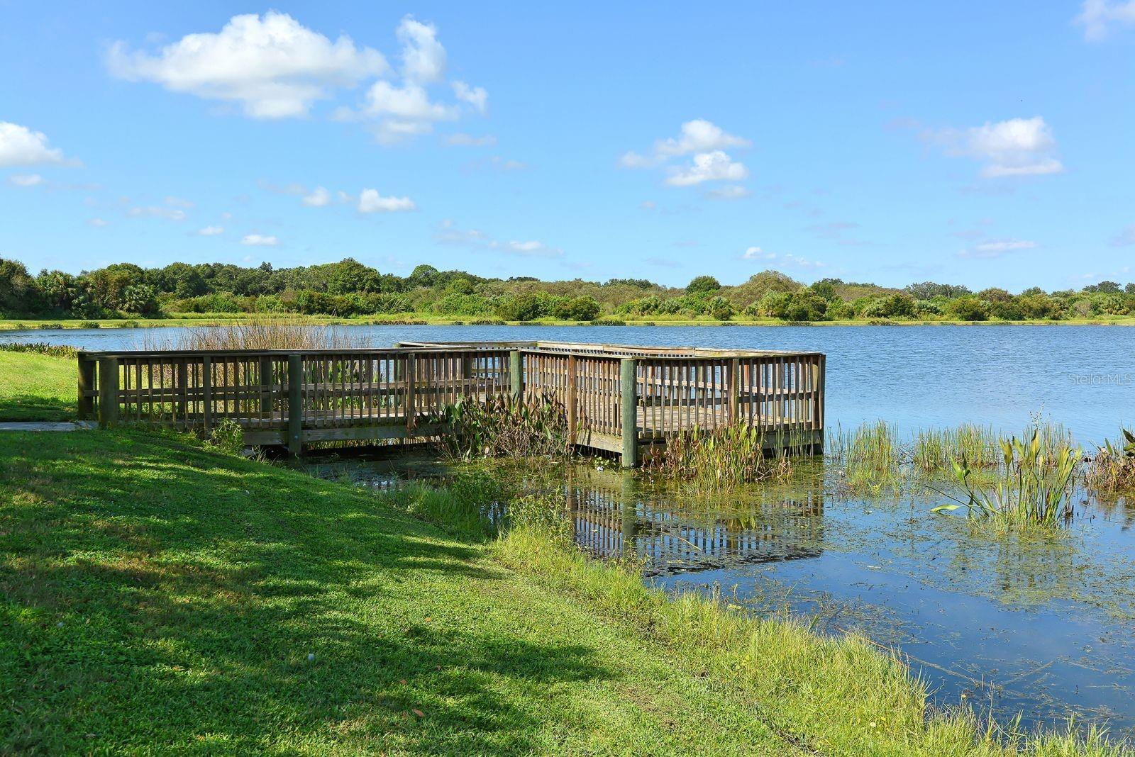 Image 87 of 87 For 318 Ragdoll Run