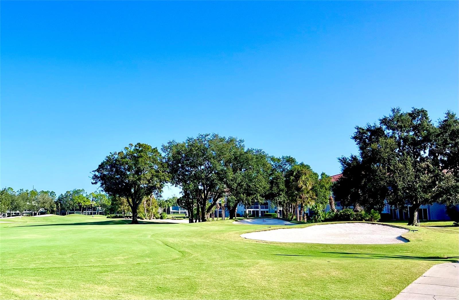 Image 41 of 46 For 6501 Stone River Road 203