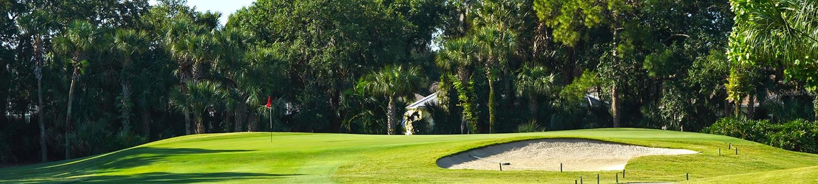 Image 44 of 46 For 6501 Stone River Road 203