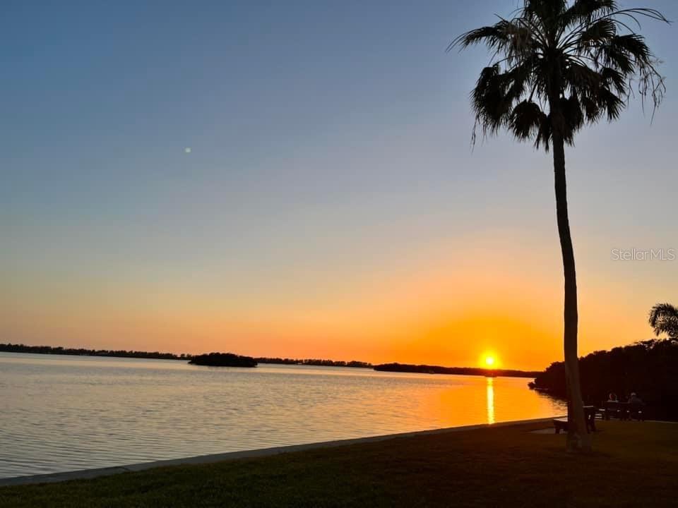 Image 36 of 49 For 10315 Cortez Road W 6-1