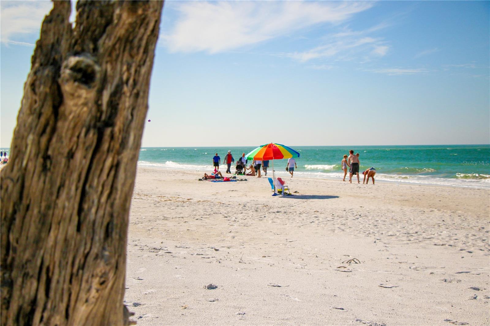 Image 33 of 79 For 3835 Almeria Court C1