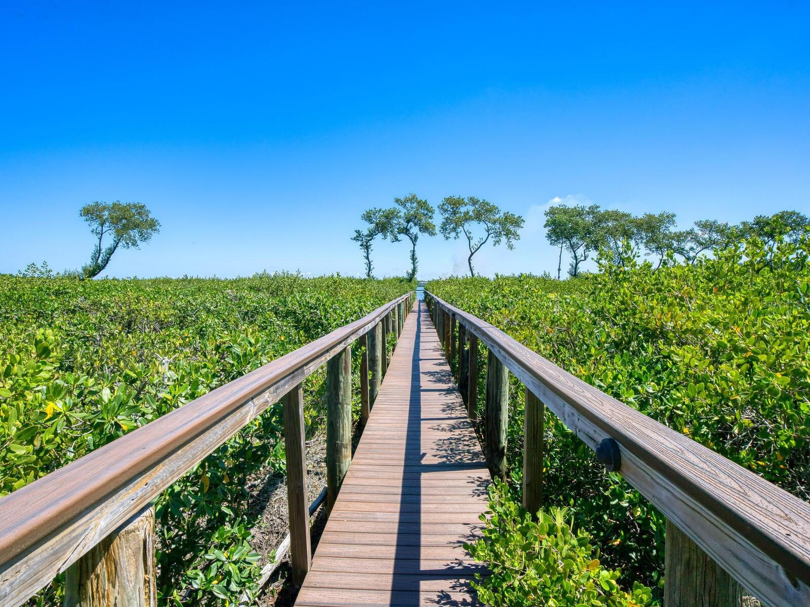 Image 55 of 73 For 12518 Harbour Landings Drive