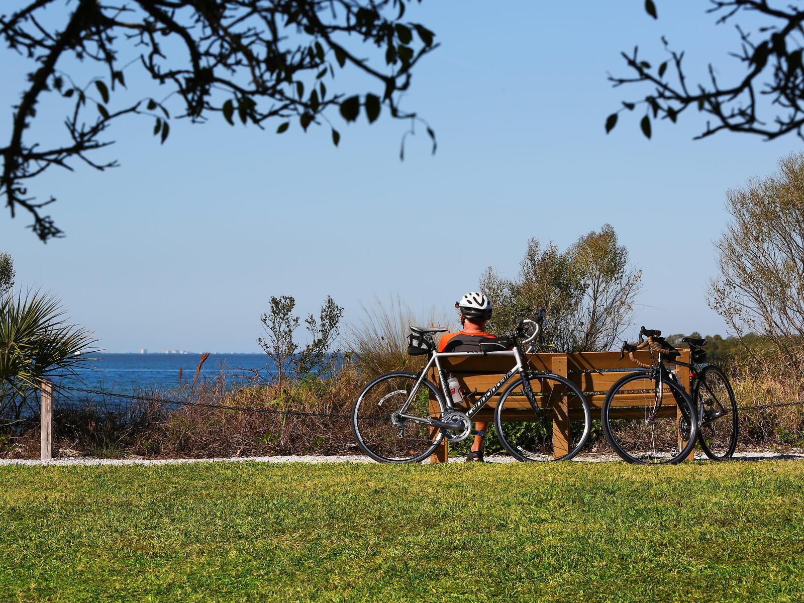 Image 59 of 73 For 12518 Harbour Landings Drive