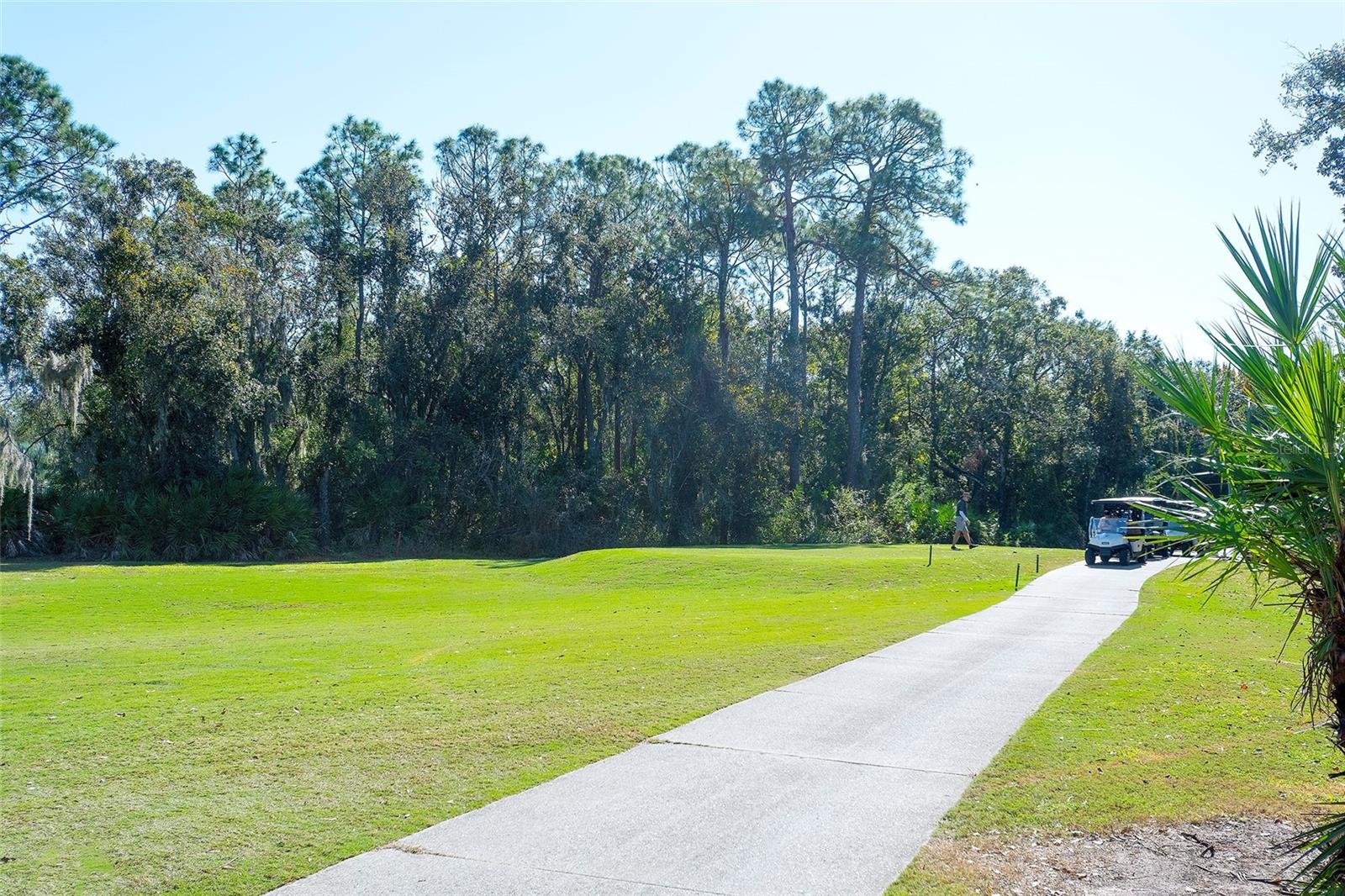 Image 33 of 59 For 4849 88th Street E