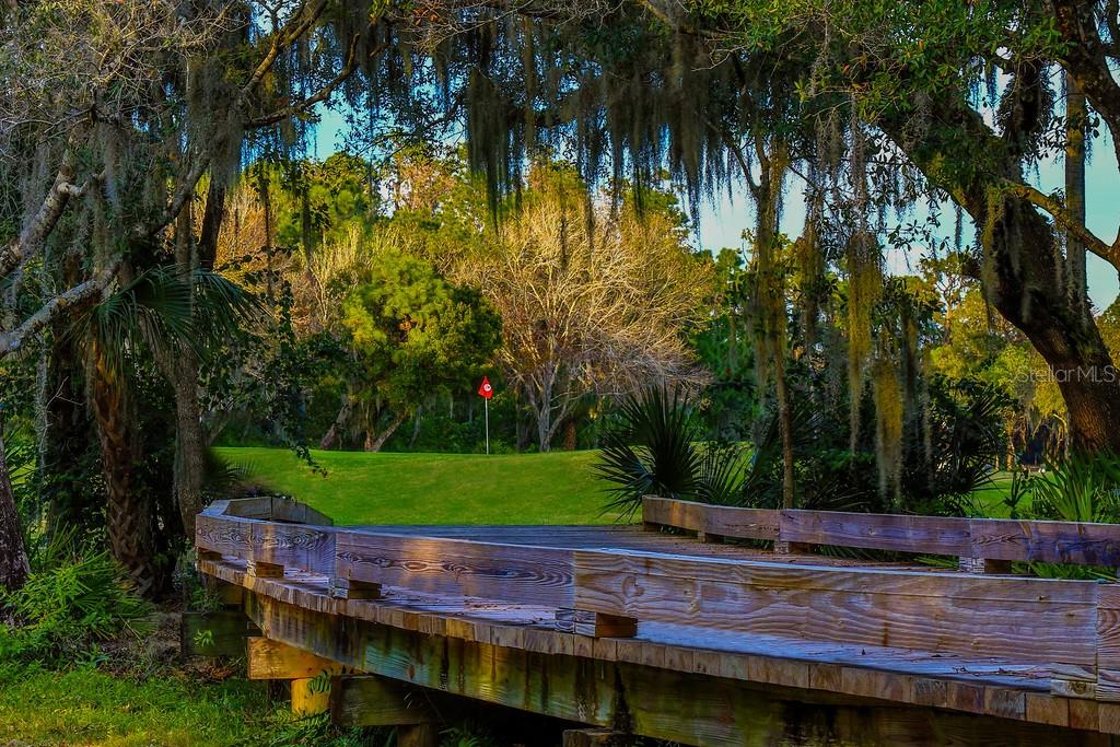 Image 57 of 59 For 4849 88th Street E