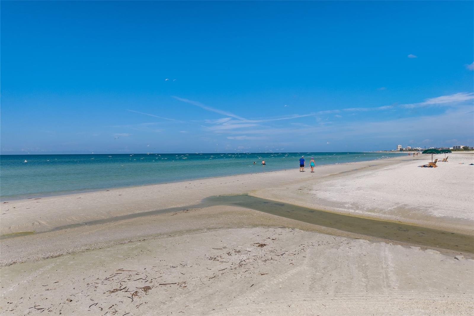 Image 51 of 70 For 6140 Midnight Pass Road A10