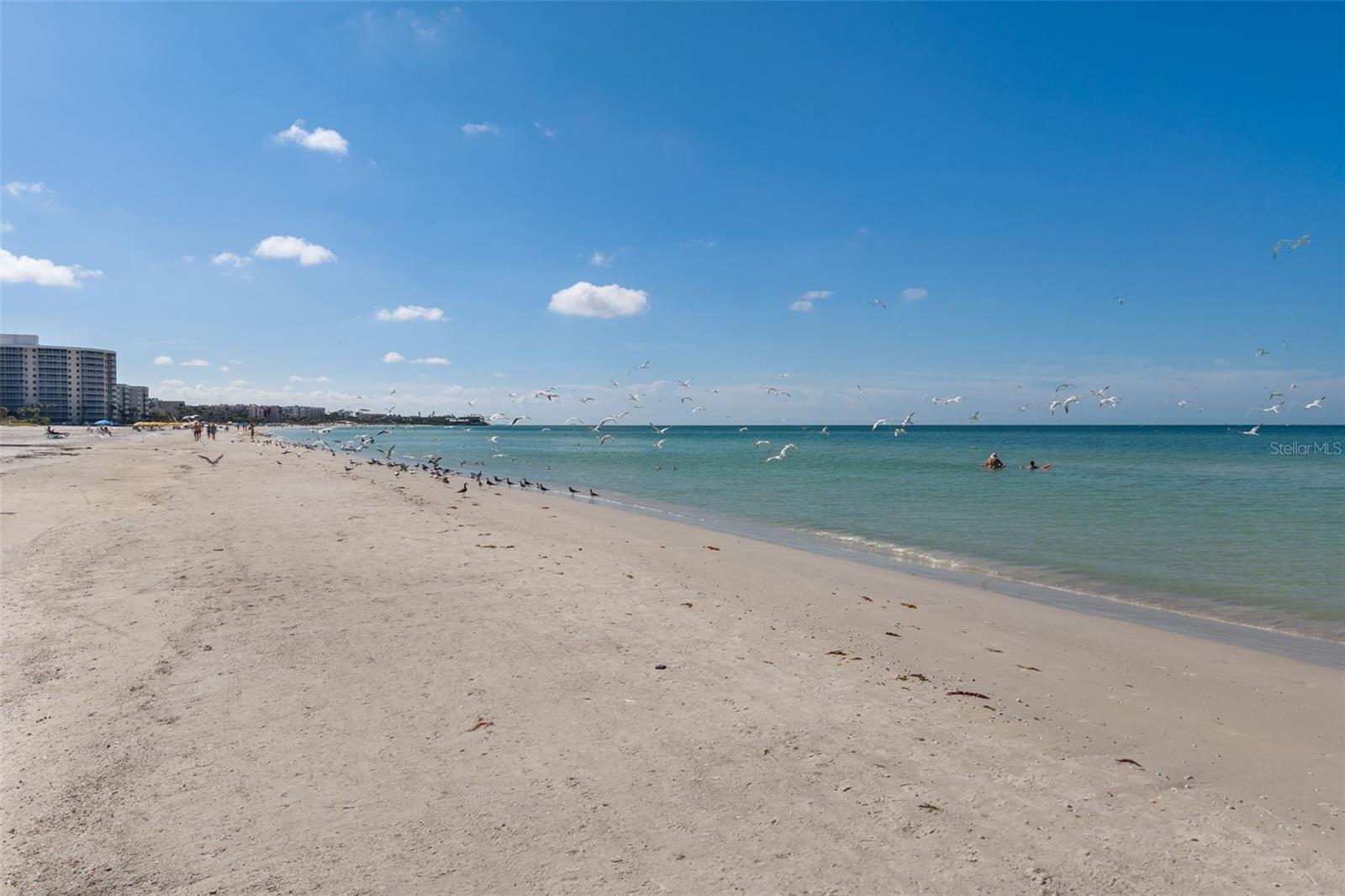 Image 53 of 70 For 6140 Midnight Pass Road A10