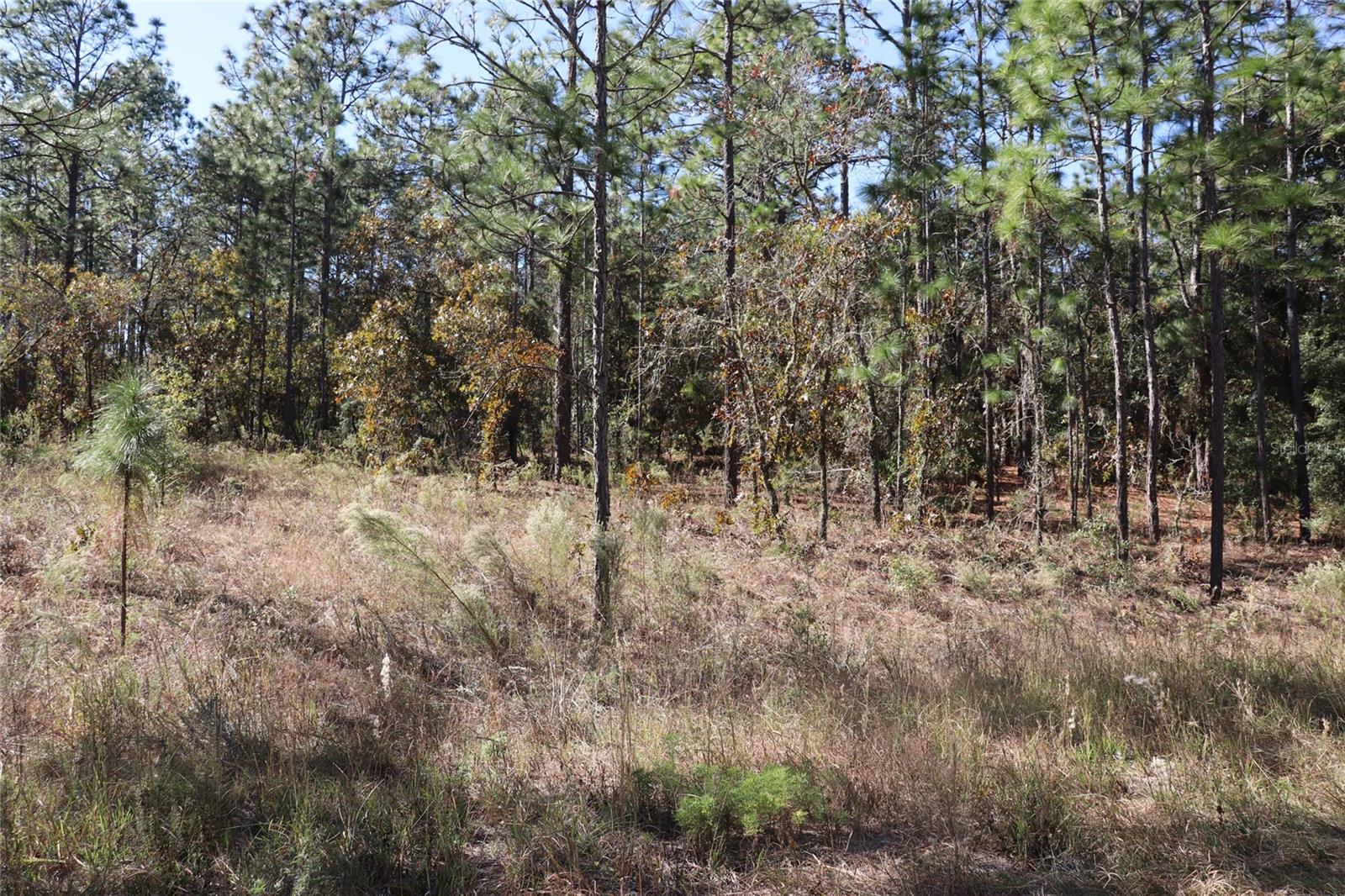 Image 12 of 13 For Tbd 131st Circle