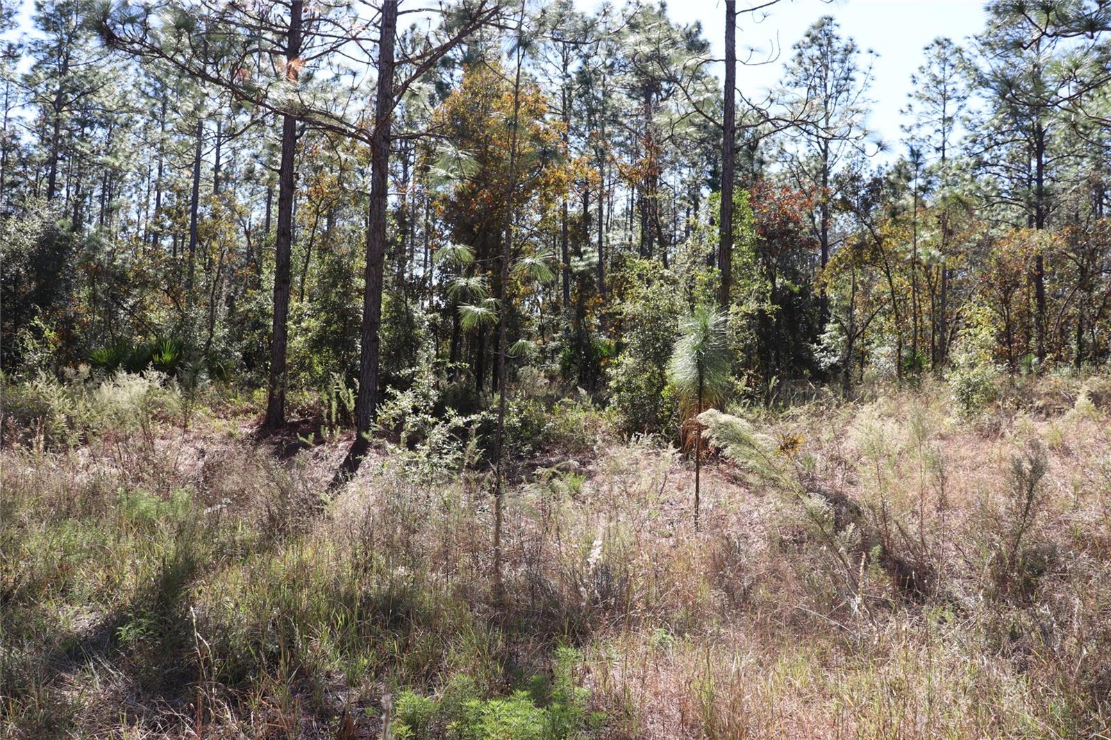 Image 13 of 13 For Tbd 131st Circle