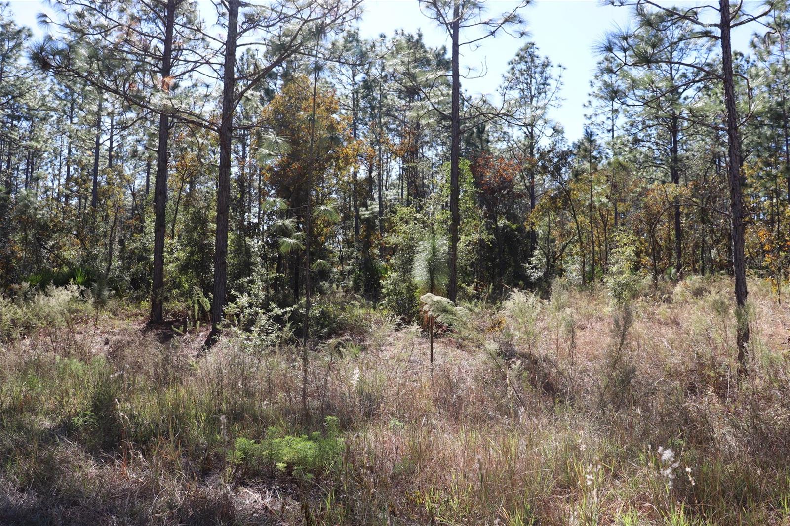 Image 7 of 13 For Tbd 131st Circle