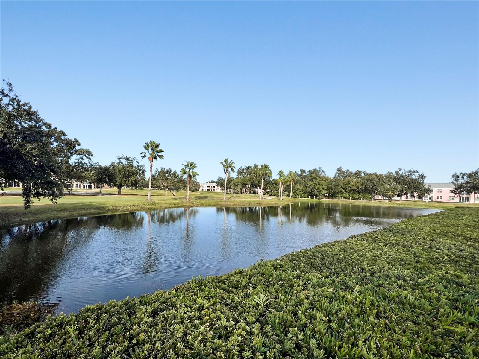 Image 33 of 40 For 4530 Pinebrook Circle 103