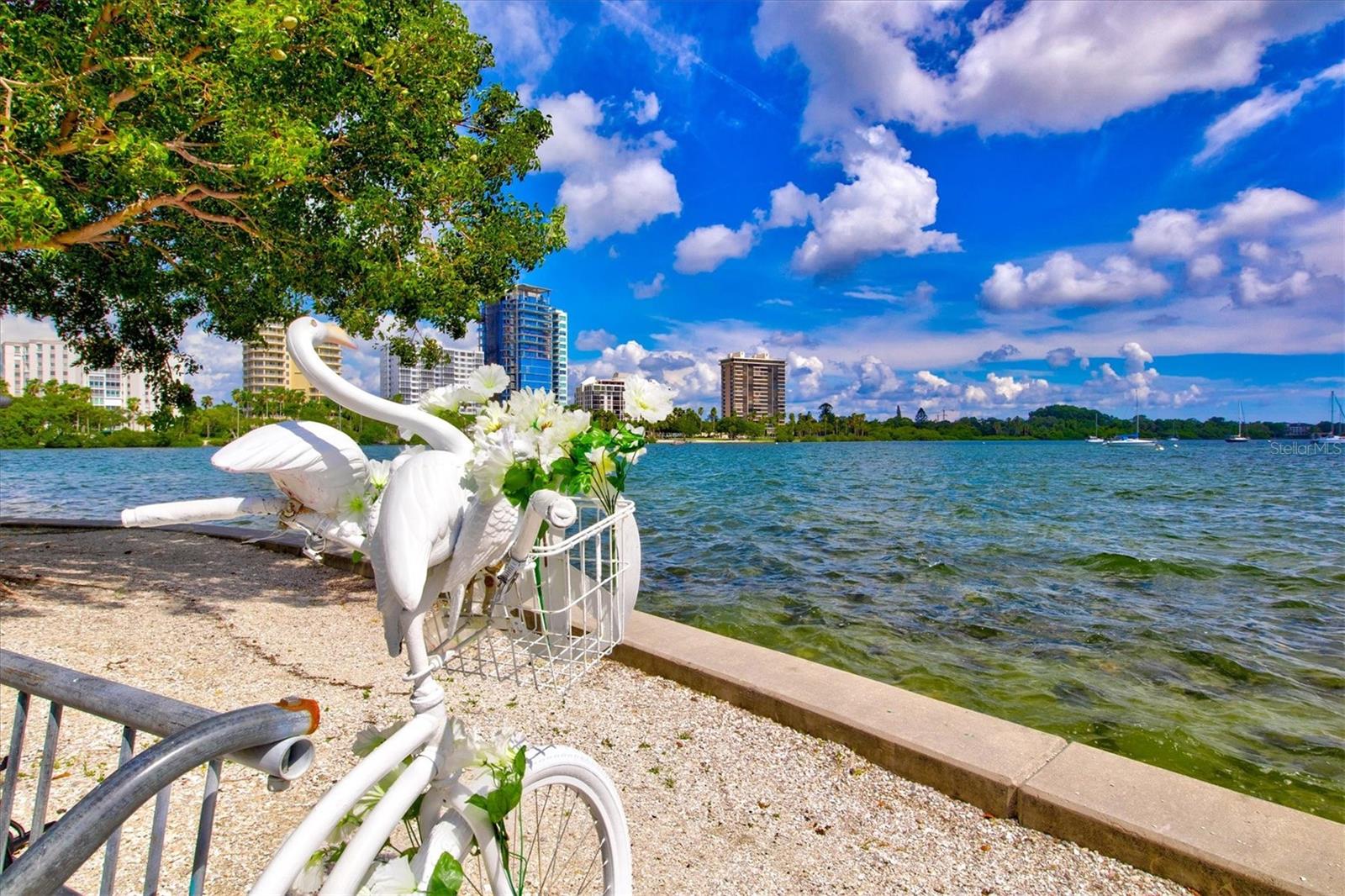 Image 36 of 41 For Address Not Provided