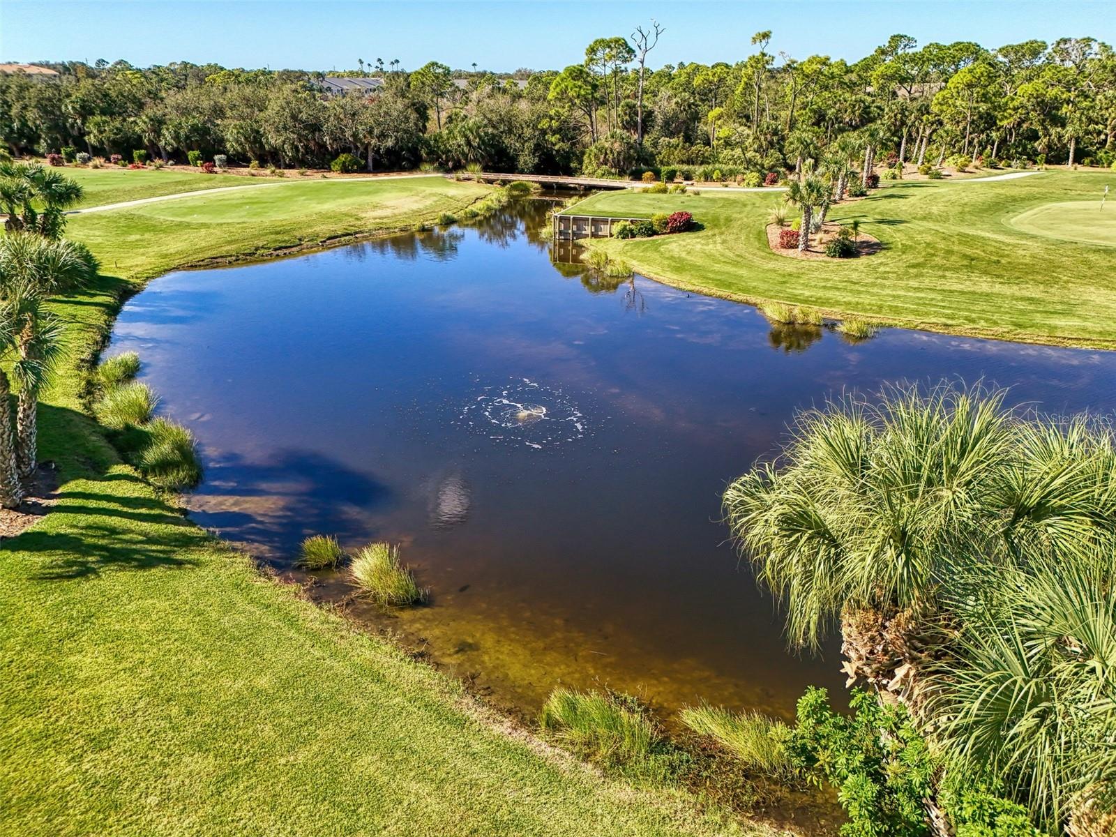 Image 54 of 95 For 9300 Clubside Circle 1303