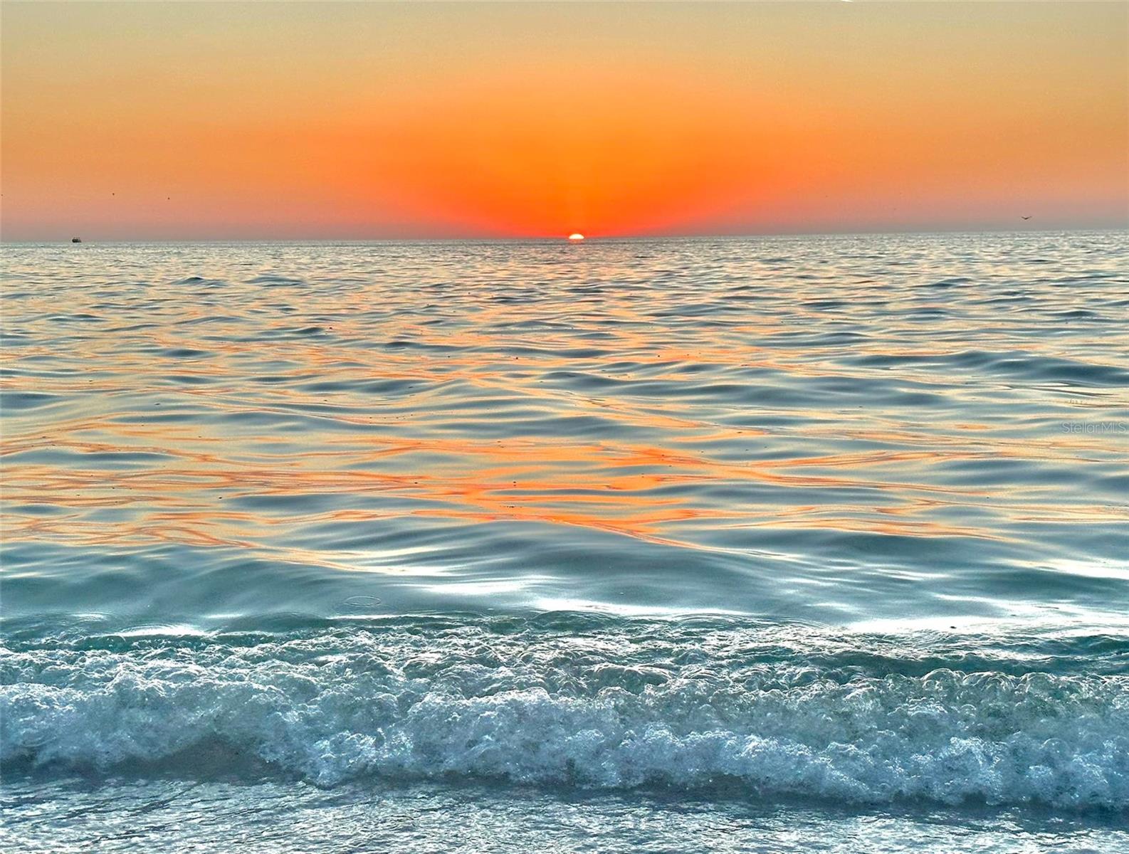 Image 36 of 42 For 17148 Blowfish Drive