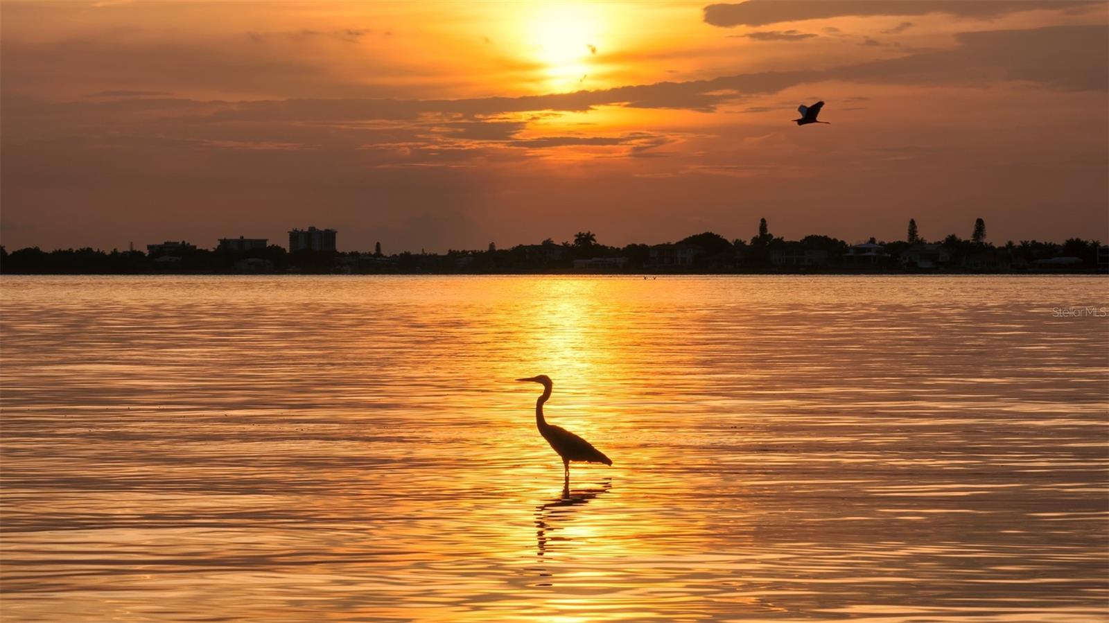 Listing photo id 57 for 656 Owl Drive