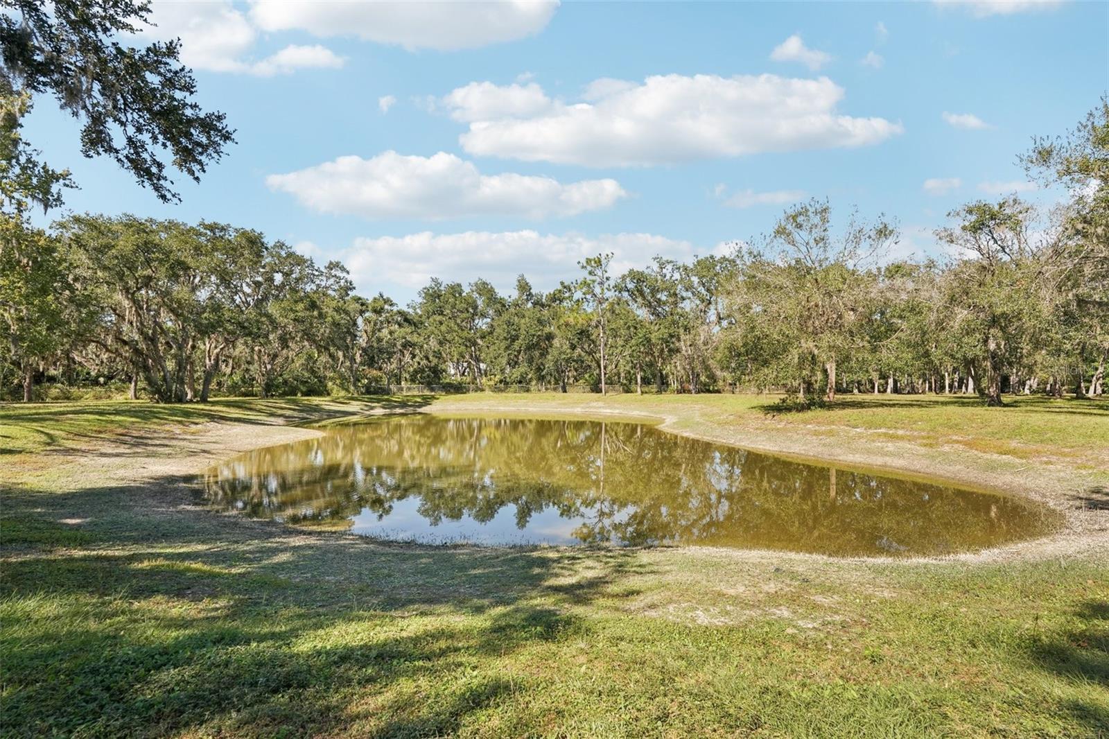 Image 48 of 58 For 30950 Mossy Oak Terrace