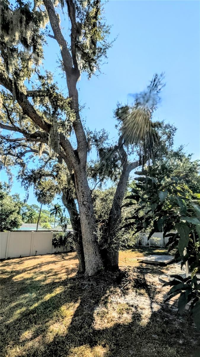 Image 24 of 26 For 2017 Arden Drive