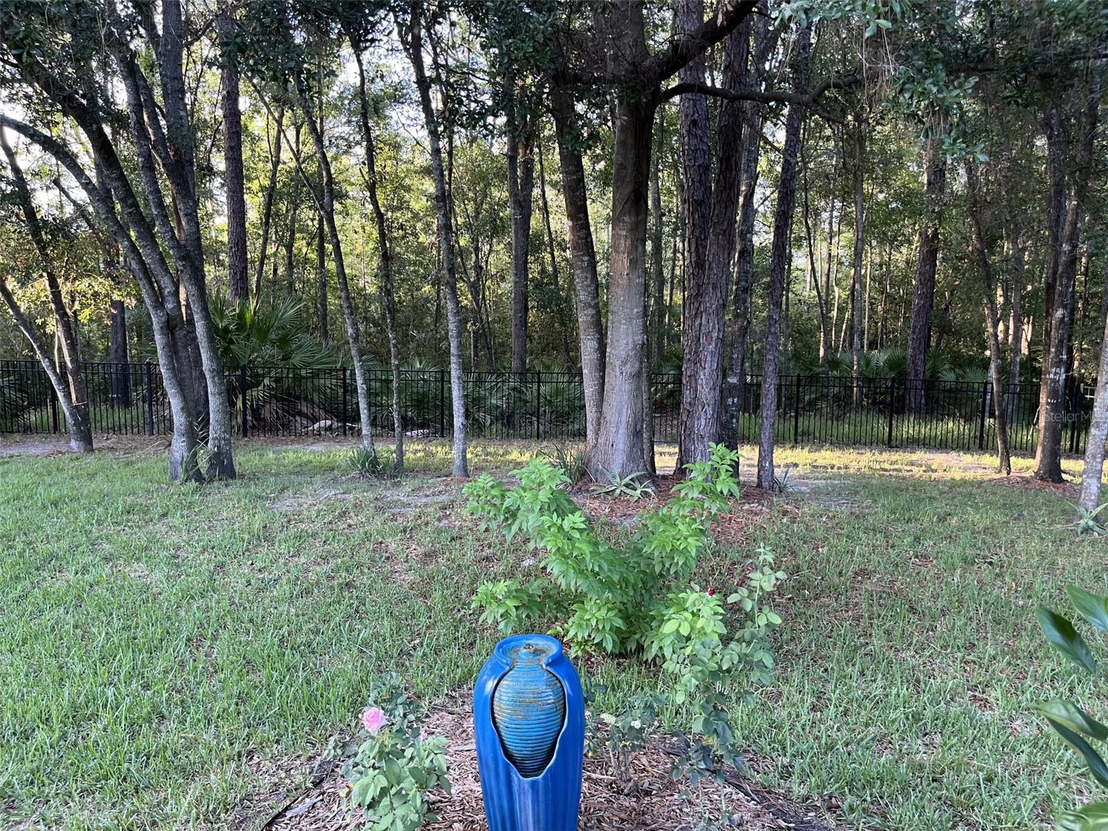 Image 26 of 34 For 5573 Casavedra Court