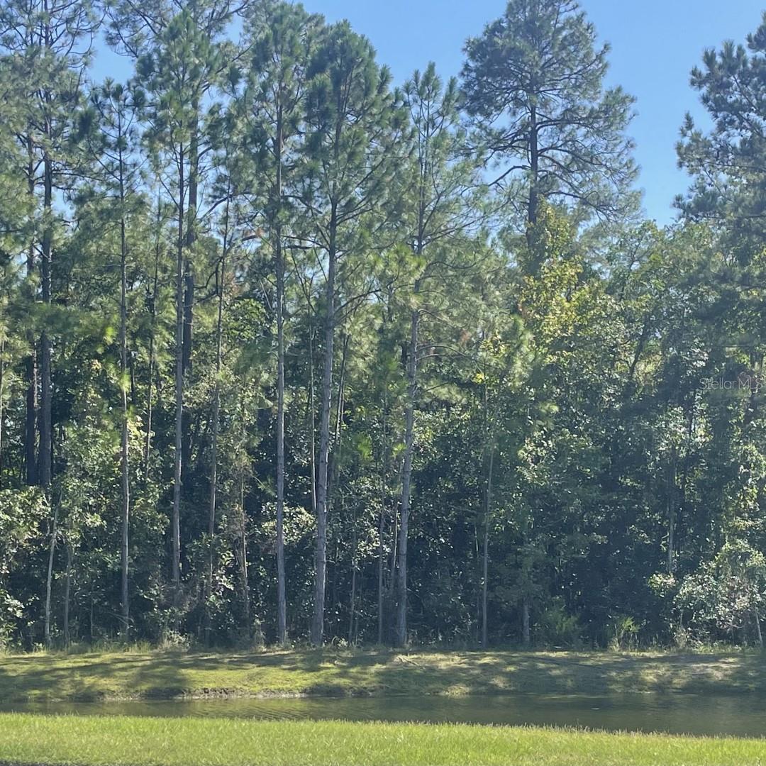 Image 32 of 34 For 5573 Casavedra Court