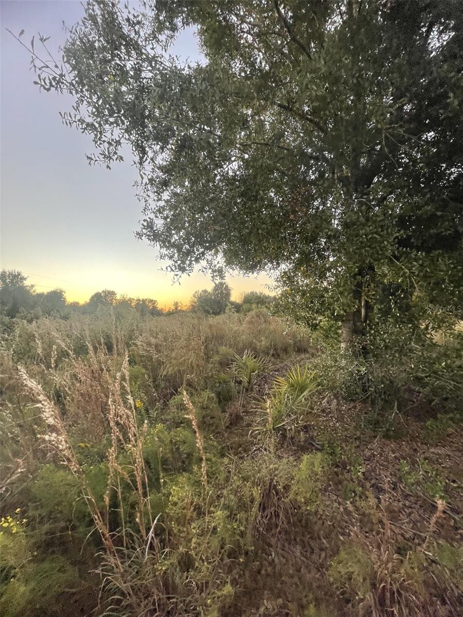 Image 2 of 14 For 20581 262nd Street