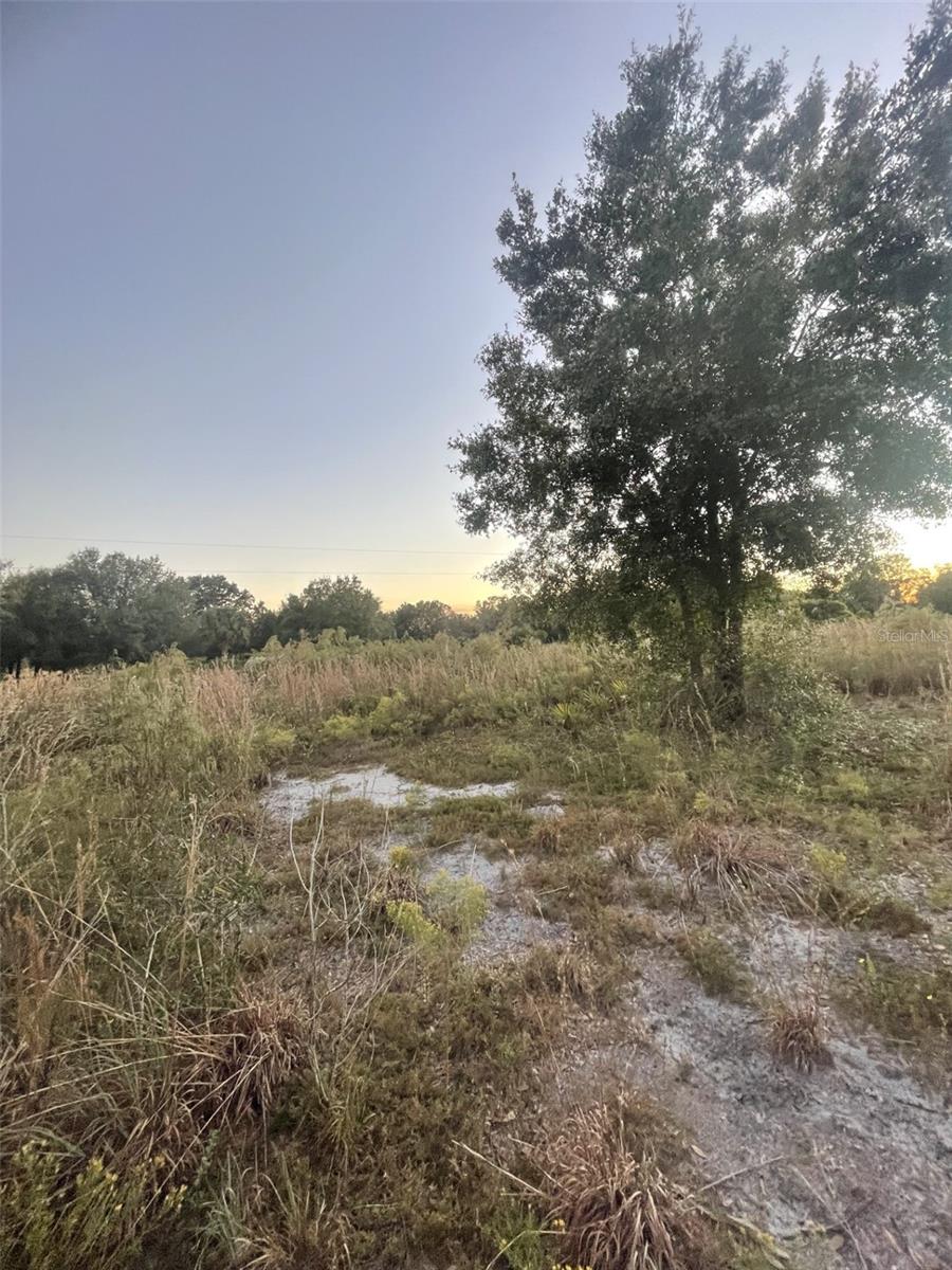 Image 5 of 14 For 20581 262nd Street