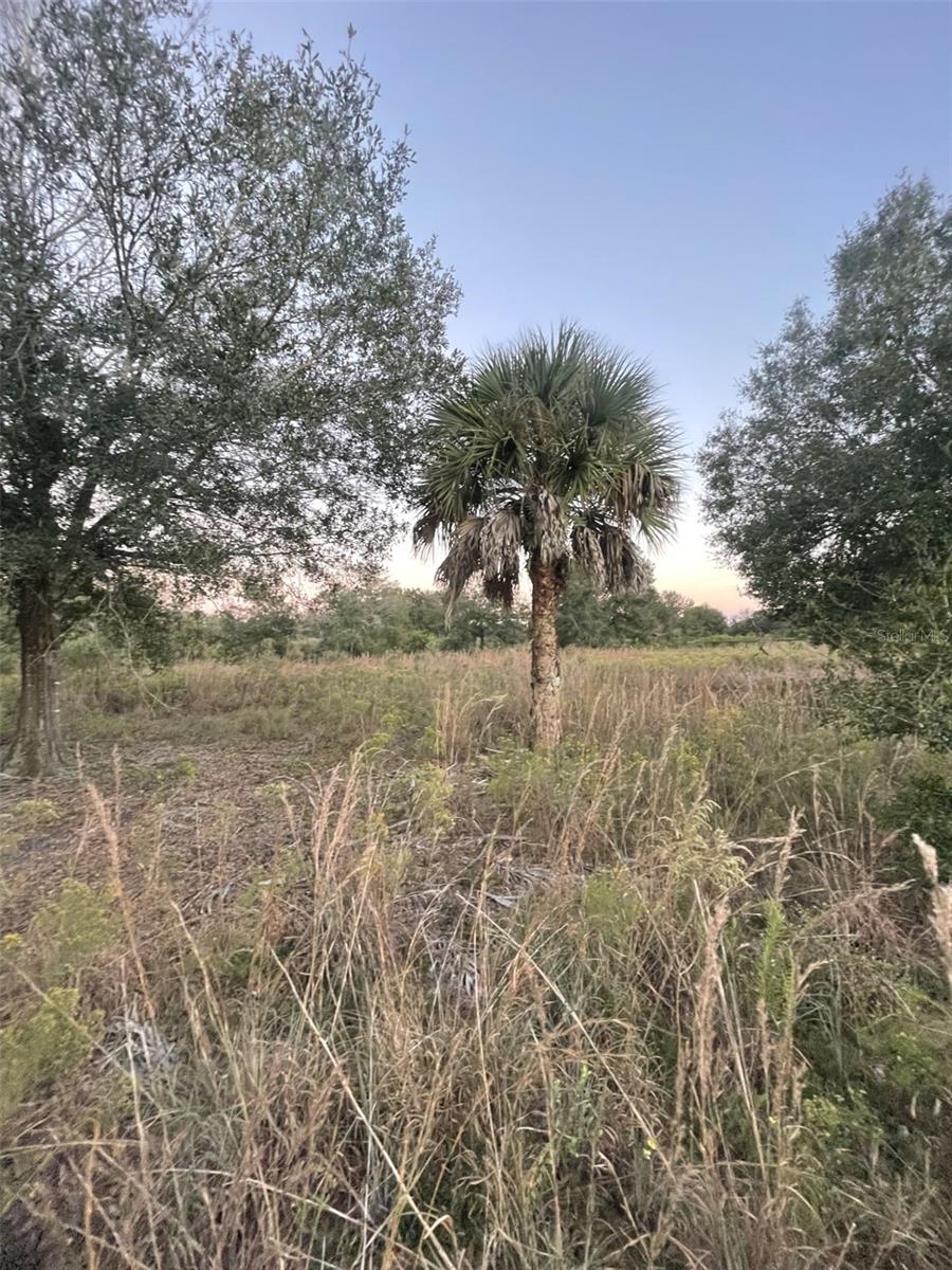 Image 8 of 14 For 20581 262nd Street